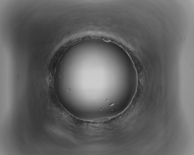 X0000113091495200909041138