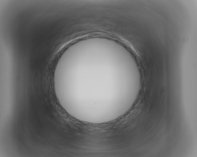 X0000113091496200909041138