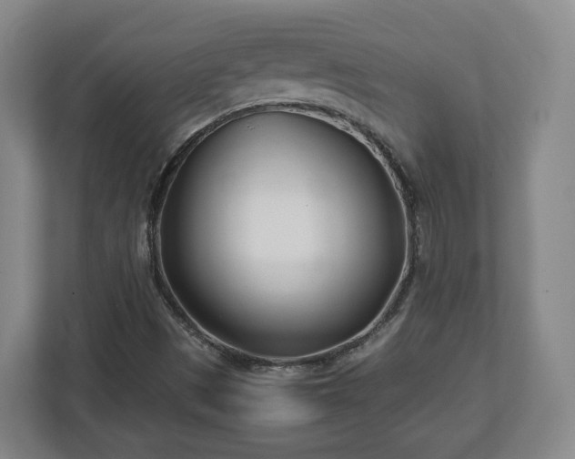X0000113091497200909041138