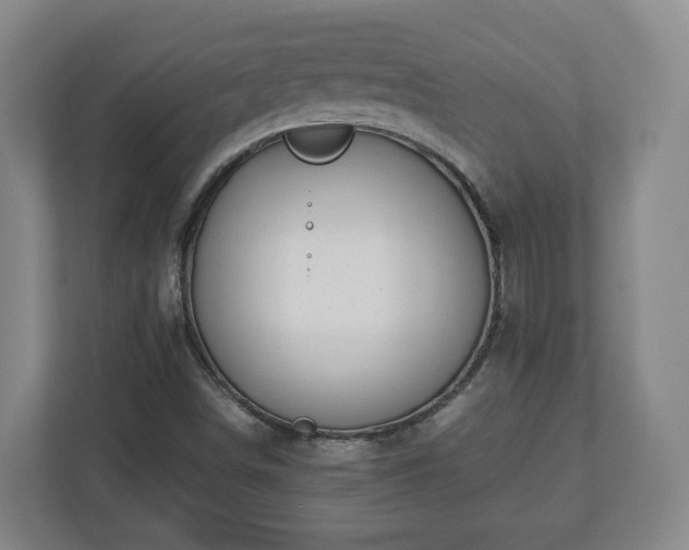 X0000113091498200909041138