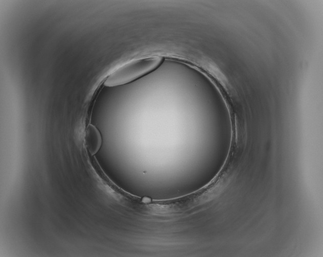X0000113091500200909041138