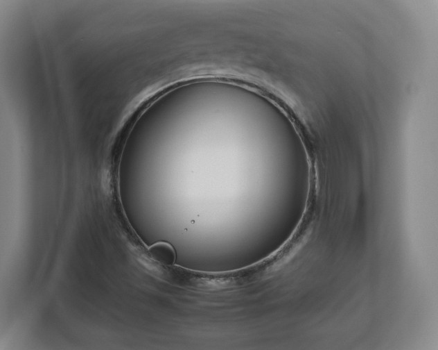 X0000113091501200909041138