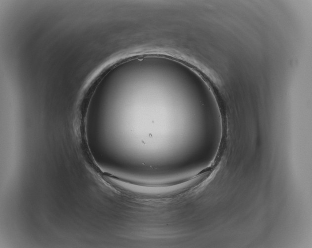 X0000113091502200909041138