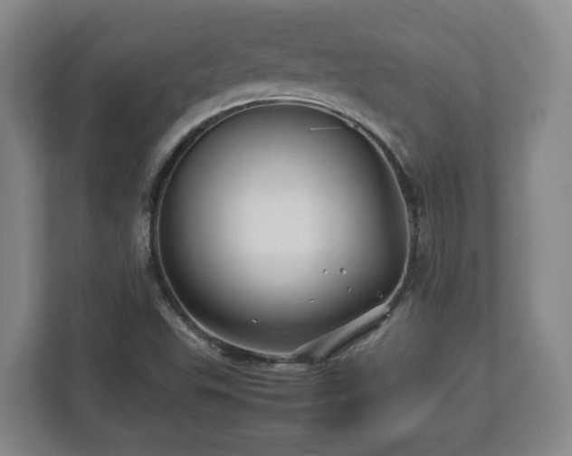 X0000113091503200909041138