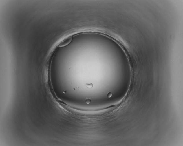 X0000113091504200909041138