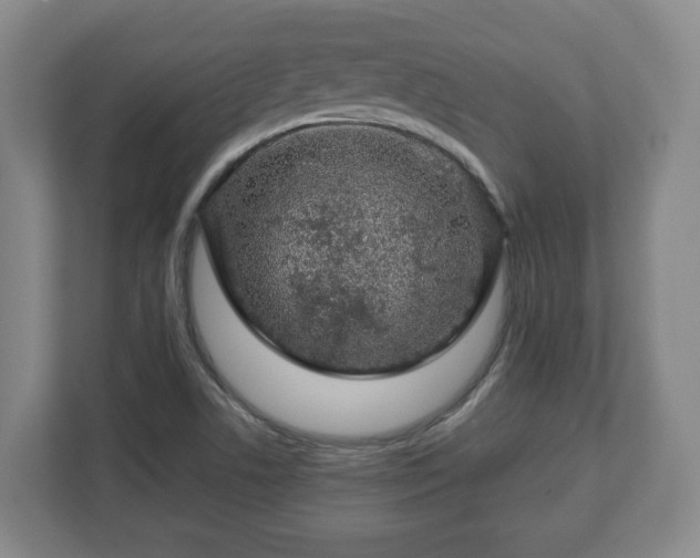 X0000113091506200909041138