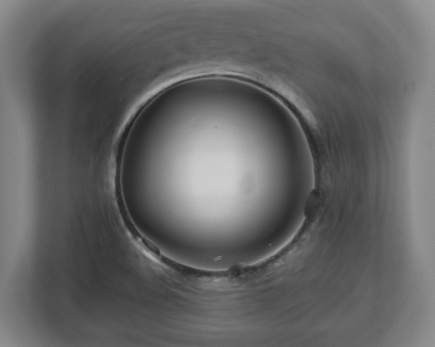 X0000113091508200909041138