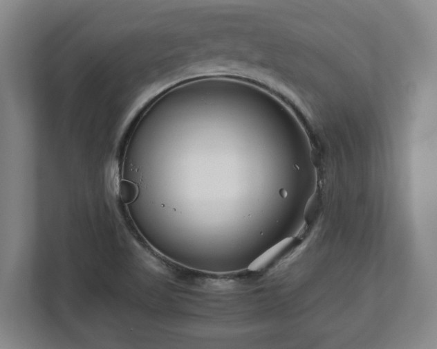 X0000113091509200909041138