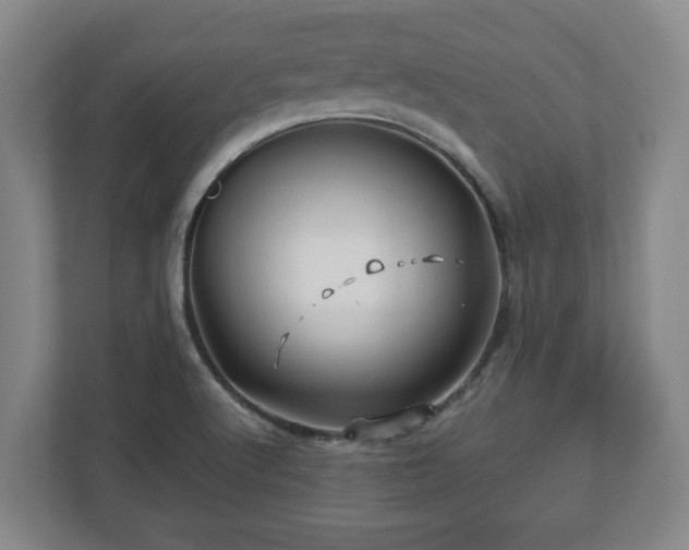 X0000113091512200909041138