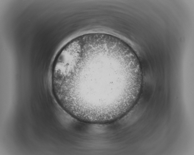 X0000113091514200909041138