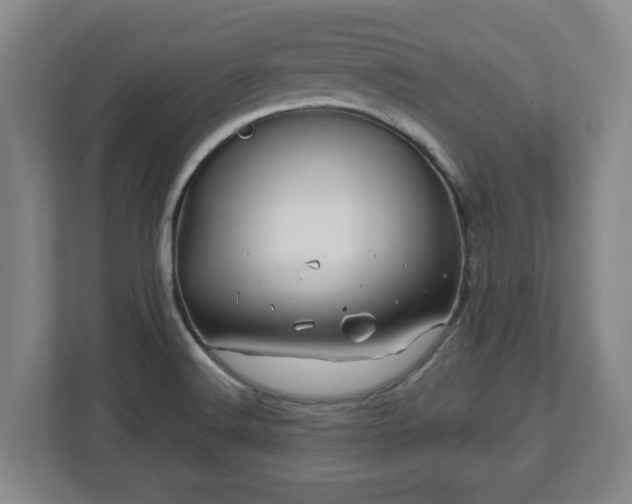 X0000113091516200909041138