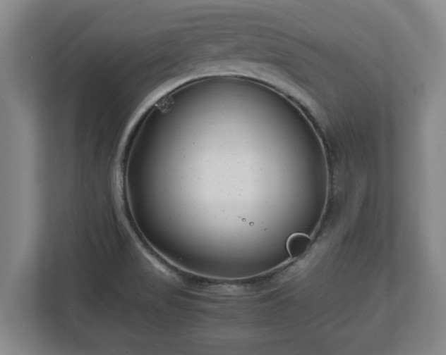 X0000113091517200909041138