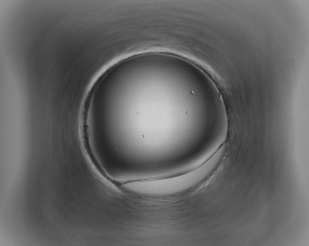 X0000113091518200909041138
