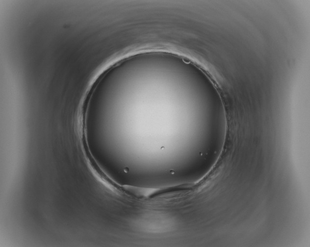 X0000113091519200909041138