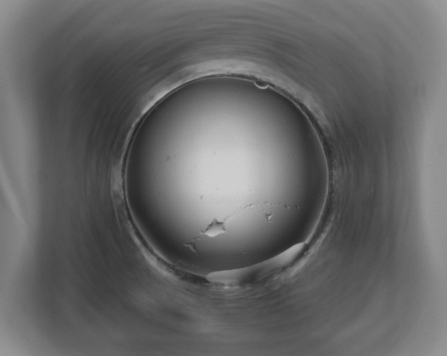 X0000113091521200909041138