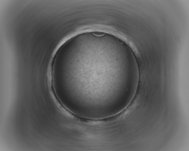 X0000113091522200909041138