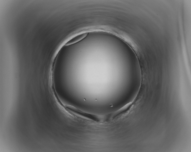 X0000113091524200909041139