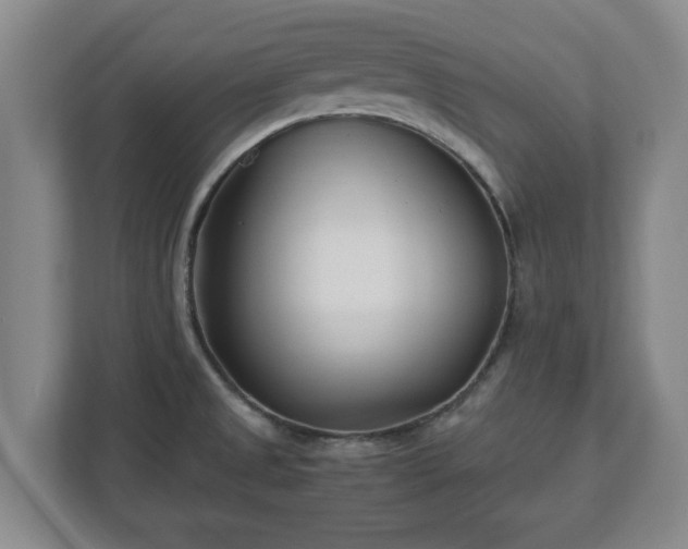 X0000113091525200909041139