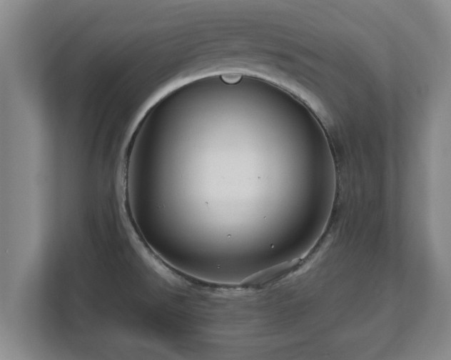 X0000113091526200909041139
