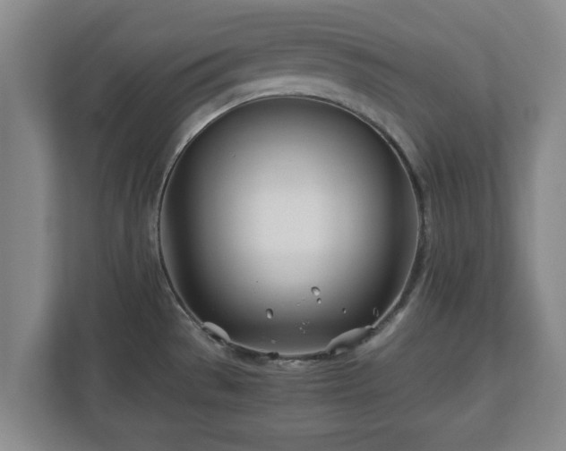 X0000113091529200909041139