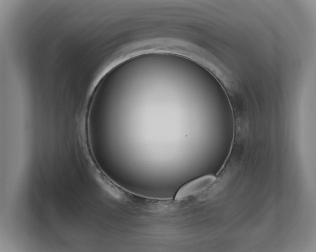 X0000113091530200909041139
