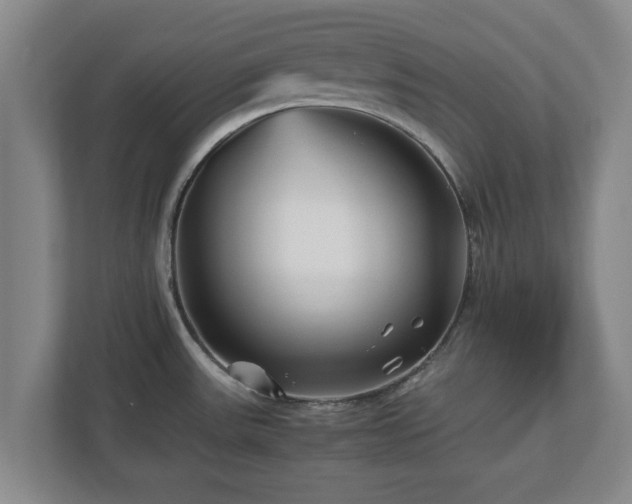 X0000113091531200909041139