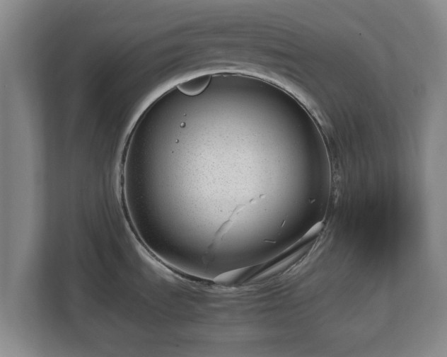 X0000113091535200909041139