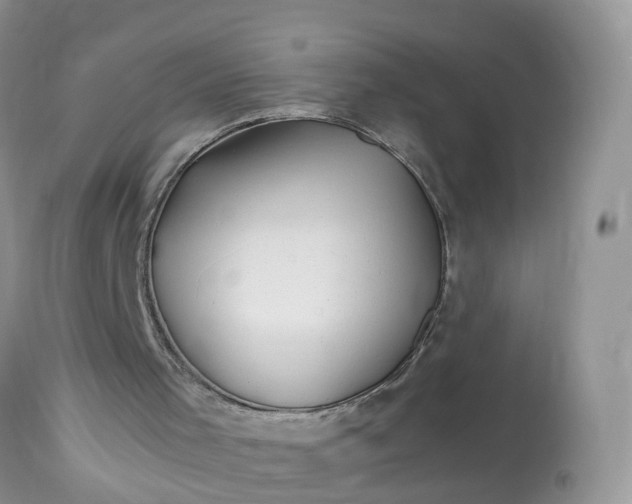 X0000113090001200909111038