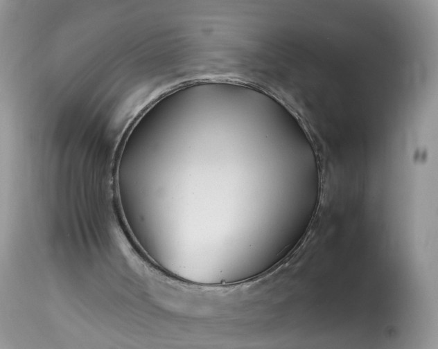 X0000113090002200909111038