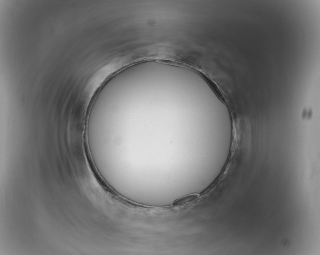 X0000113090003200909111038