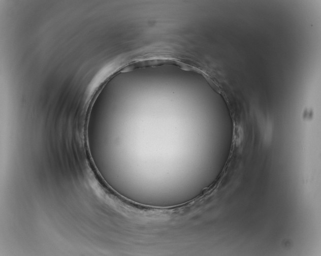 X0000113090004200909111038