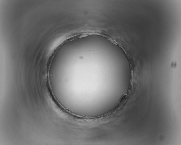 X0000113090005200909111038