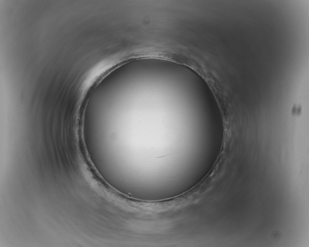 X0000113090006200909111038