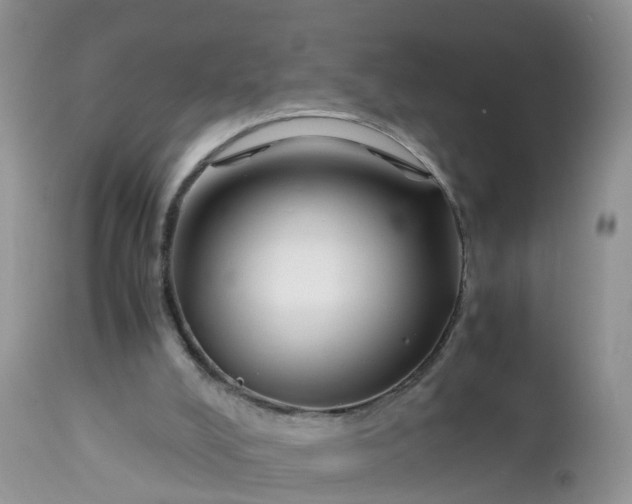 X0000113090008200909111038