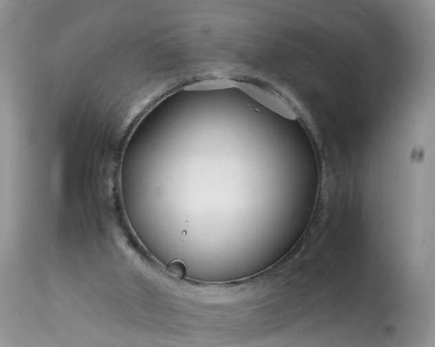 X0000113090010200909111038