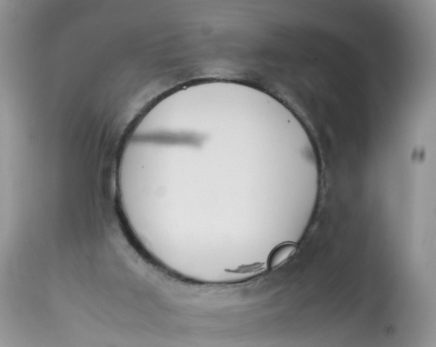 X0000113090011200909111038