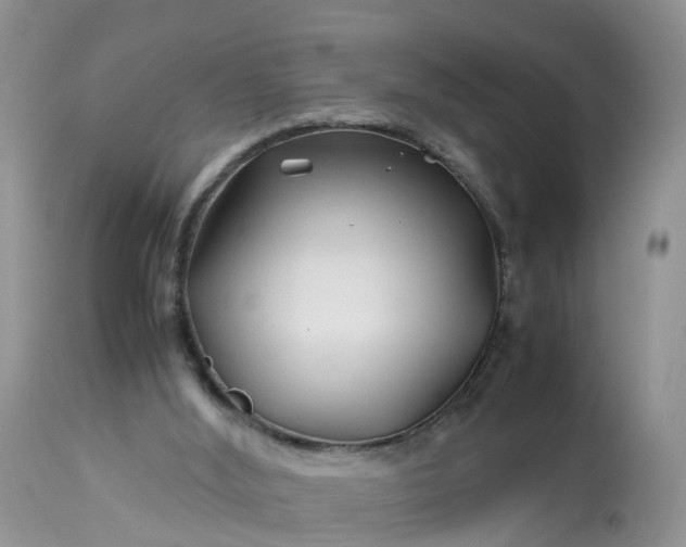 X0000113090012200909111038