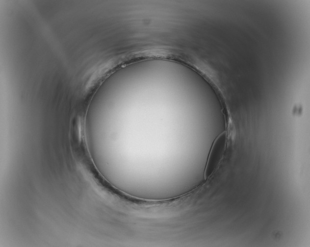 X0000113090013200909111038