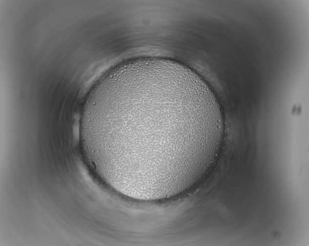 X0000113090014200909111038