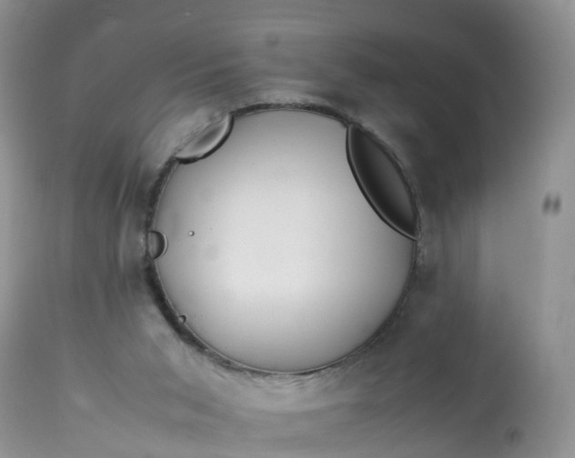 X0000113090015200909111038