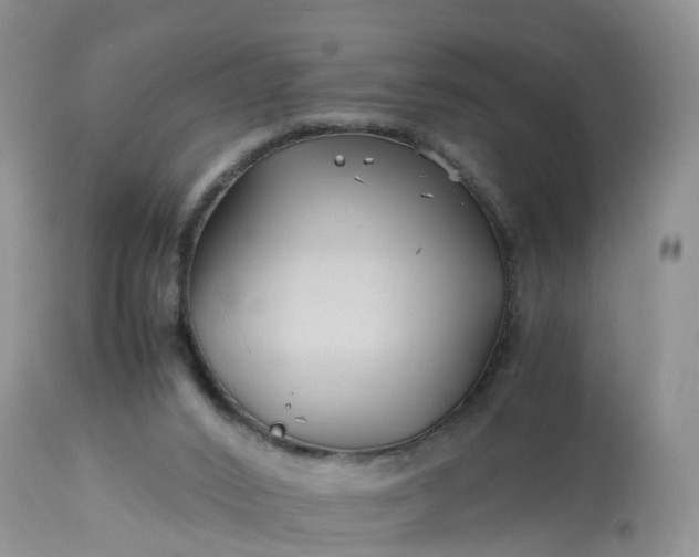 X0000113090016200909111038