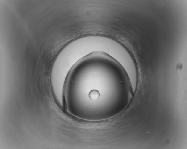 X0000113090017200909111038
