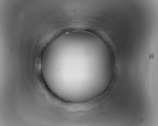 X0000113090021200909111038