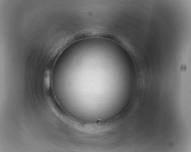 X0000113090022200909111038