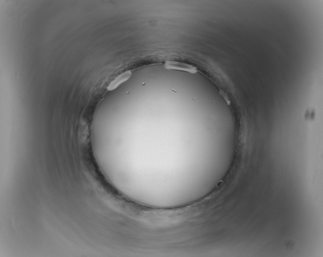 X0000113090025200909111038