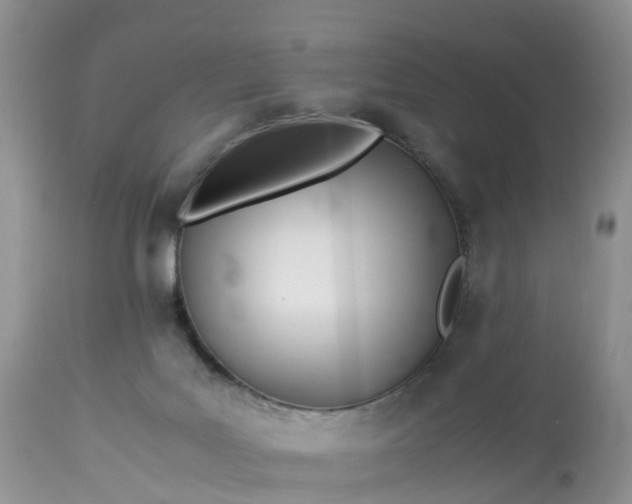 X0000113090027200909111038
