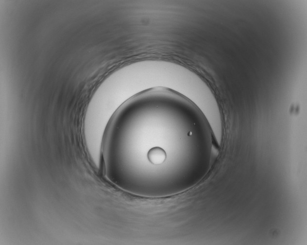 X0000113090029200909111038