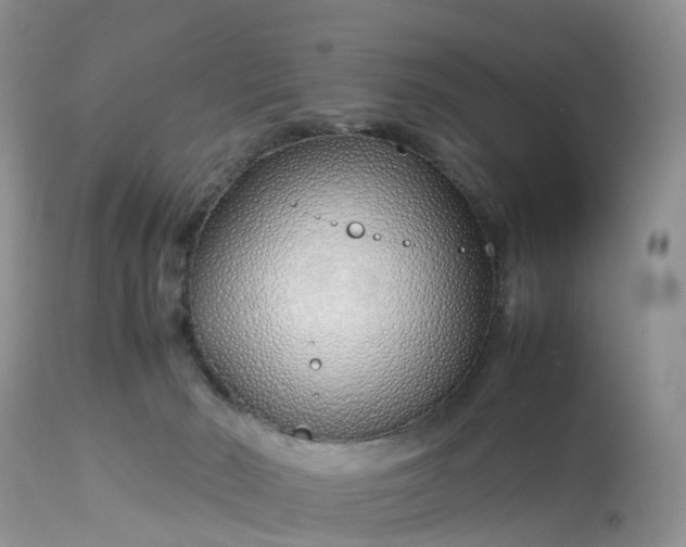 X0000113090030200909111038
