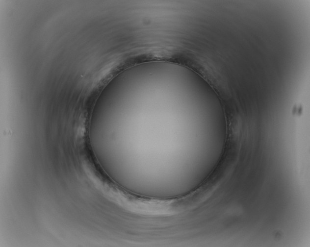 X0000113090032200909111038