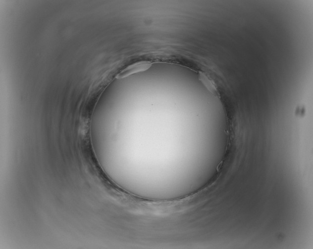 X0000113090033200909111038